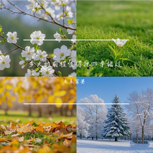 午夜福利视频92
