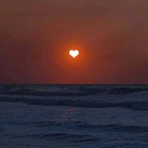 妞干网免费视频
