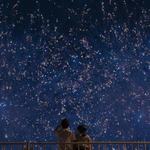 姐姐结婚by东度日主角是谁
