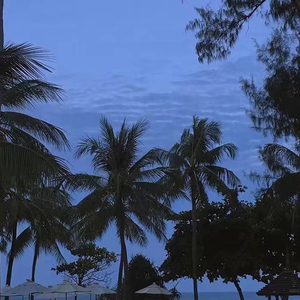 欧美日本韩国美女医生骚逼性爰邪恶黄色专网
