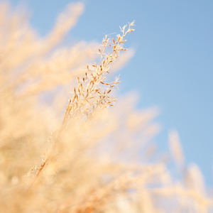 伦乳绝伦电影日本奶水电影
