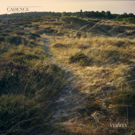 奥田咲无码下载
